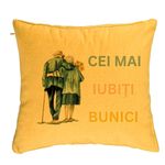 Casa si Gradina - Textile si covoare - Perne si pilote - Perne decorative - Perna Decorativa pentru Bunici 7, 40x40 cm, Galben, Husa Detasabila, Burduf - Infinity.ro