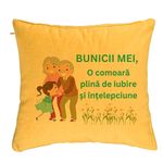Casa si Gradina - Textile si covoare - Perne si pilote - Perne decorative - Perna Decorativa pentru Bunici 3, 40x40 cm, Galben, Husa Detasabila, Burduf - Infinity.ro