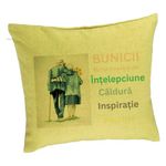 Casa si Gradina - Textile si covoare - Perne si pilote - Perne decorative - Perna Decorativa pentru Bunici 8, 40x40 cm, Verde, Husa Detasabila, Burduf - Infinity.ro