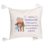 Casa si Gradina - Textile si covoare - Perne si pilote - Perne decorative - Perna Decorativa cu Franjuri pentru Bunici 2, 45x45 cm, Cu fermoar - Infinity.ro