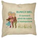 Casa si Gradina - Textile si covoare - Perne si pilote - Perne decorative - Perna Decorativa pentru Bunici 3, 40x40 cm, Husa Detasabila, Burduf - Infinity.ro