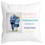 Casa si Gradina - Textile si covoare - Perne si pilote - Perne decorative - Perna Decorativa pentru Bunici 8, 40x40 cm, Alb mat, Husa Detasabila, Burduf - Infinity.ro