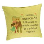 Casa si Gradina - Textile si covoare - Perne si pilote - Perne decorative - Perna Decorativa pentru Bunici 2, 40x40 cm, Verde, Husa Detasabila, Burduf - Infinity.ro