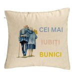 Casa si Gradina - Textile si covoare - Perne si pilote - Perne decorative - Perna Decorativa pentru Bunici 7, 40x40 cm, Bej, Husa Detasabila, Burduf - Infinity.ro