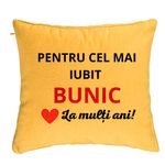 Casa si Gradina - Textile si covoare - Perne si pilote - Perne decorative - Perna Decorativa pentru Bunicul 3, 40x40 cm, Galben, Husa Detasabila, Burduf - Infinity.ro