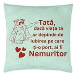 Casa si Gradina - Textile si covoare - Perne si pilote - Perne decorative - Perna Decorativa, Model pentru Tata 11, 40x40 cm, Verde Menta, Husa Detasabila, Burduf - Infinity.ro