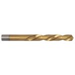 Casa si Gradina - Constructii - Scule electrice si accesorii - Seturi si accesorii pentru gaurit si insurubat - Burghiu Metal HSS 6542 Titanat EvoTools, 6.5x101 mm - Infinity.ro