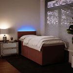 Casa si Gradina - Mobilier - Paturi si accesorii - Paturi - Pat box spring cu saltea, roz, 80x200 cm, catifea - Infinity.ro