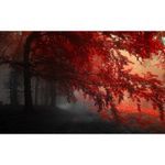 Casa si Gradina - Decoratiuni - Tablouri - Tablou Canvas, Frunze rosii, 90 x 50 cm, Rama lemn, Multicolor - Infinity.ro