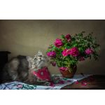 Casa si Gradina - Decoratiuni - Tablouri - Tablou Canvas, Flori, animale, pisica, vaza, natura statica, 80x50 cm, Rama lemn, Multicolor - Infinity.ro