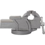 Casa si Gradina - Constructii - Scule electrice si accesorii - Menghine si cleme fixare - Menghina standard EVOTOOLS, 150 mm - Infinity.ro
