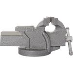 Casa si Gradina - Constructii - Scule electrice si accesorii - Menghine si cleme fixare - Menghina standard EVOTOOLS, 100 mm - Infinity.ro