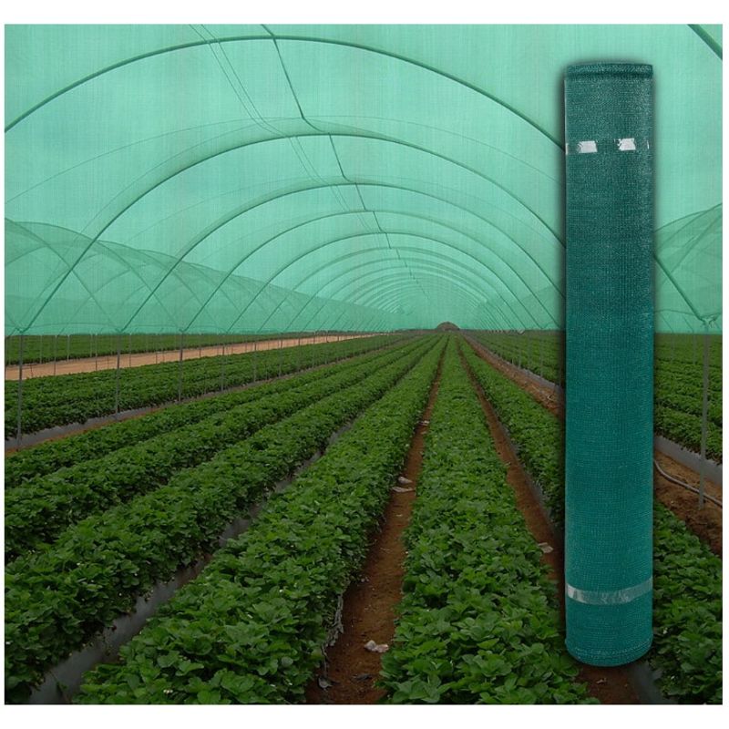 Casa si Gradina - Gradina si terasa - Garduri, panouri si accesorii - Plasa umbrire verde Evotools,lungime 10 m,latime 1.5 m,HDPE,protectie UV,grad umbrire 95%,densitate 95 g/mp - Infinity.ro