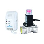 Casa si Gradina - Electrice - Smart Home - Centrale si module smart home - Detector de gaz metan Everline cu electrovalva de 3/4" , certificat, alb - Infinity.ro