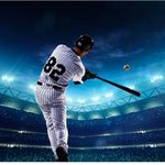 Sport si Outdoor - Sporturi de echipa - Alte sporturi de echipa - Baseball - Bata de baseball IdeallStore®, aluminiu, 80 cm, argintiu - Infinity.ro