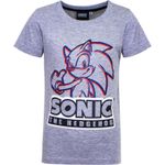 Fashion, accesorii si bijuterii - Copii - Imbracaminte copii - Tricouri copii - Tricou copii Sonic The Hedgehog, bumbac, 4 Ani/104 CM 104 CM Gri 4 ani - Infinity.ro