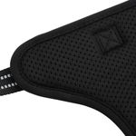 Petshop - Accesorii petshop - Jucarii animale - Ansambluri de joaca - Ham pentru caini cu plumb si guler, reglabil, negru, M - Infinity.ro