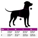 Petshop - Accesorii petshop - Zgarzi, lese si hamuri - Hamuri - Ham pentru caini cu plumb si guler, reglabil, negru, S - Infinity.ro