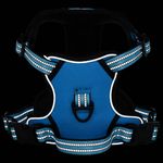 Petshop - Accesorii petshop - Jucarii animale - Ansambluri de joaca - Ham pentru caini cu plumb si guler, reglabil, albastru, M - Infinity.ro