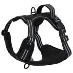 Petshop - Accesorii petshop - Jucarii animale - Ansambluri de joaca - Ham pentru caini cu plumb si guler, reglabil, negru, L - Infinity.ro