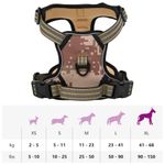 Petshop - Accesorii petshop - Jucarii animale - Ansambluri de joaca - Ham pentru caini cu dungi reflectorizante reglabil, XL - Infinity.ro