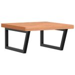 Casa si Gradina - Mobilier - Biblioteci si rafturi - Rafturi - Raft pentru lavoar montat pe perete, otel si lemn masiv fag - Infinity.ro