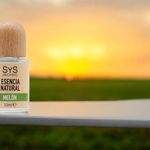 Casa si Gradina - Decoratiuni - Aromaterapie si lumanari - Uleiuri esentiale aromaterapie - Esenta naturala (ulei) aromaterapie SyS Aromas, Pepene galben 12 ml - Infinity.ro