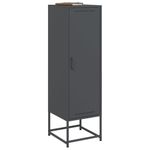 Casa si Gradina - Mobilier - Comode si corpuri - Corpuri bucatarie - Dulap inalt, antracit, 36x39x123 cm, otel - Infinity.ro