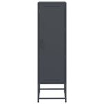 Casa si Gradina - Mobilier - Comode si corpuri - Corpuri bucatarie - Dulap inalt, antracit, 36x39x123 cm, otel - Infinity.ro