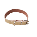 Petshop - Accesorii petshop - Zgarzi, lese si hamuri - Zgarzi - Zgarda aurie piele naturala, pentru caini mici, 35 x 1,5 cm - Infinity.ro