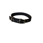 Petshop - Accesorii petshop - Zgarzi, lese si hamuri - Zgarzi - Zgarda neagra din material textil, 60 x 2,5 cm, pentru caini - Infinity.ro