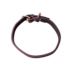 Petshop - Accesorii petshop - Zgarzi, lese si hamuri - Zgarzi - Zgarda dubla pentru caini, piele naturala cu banda rosie, 80x4 cm - Infinity.ro