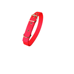 Petshop - Accesorii petshop - Zgarzi, lese si hamuri - Zgarzi - Zgarda rosie din material textil, 60 x 2,5 cm, pentru caini - Infinity.ro