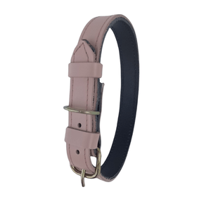 Petshop - Accesorii petshop - Zgarzi, lese si hamuri - Infinity.ro