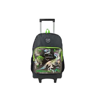 Carti si Birotica - Rechizite - Rucsacuri si genti scolare - Infinity.ro