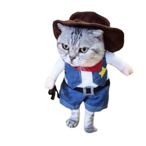 Petshop - Articole imbracaminte - Haine animale - Infinity.ro