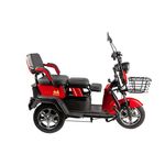 Auto si Moto - Moto - Scutere - Triciclu Electric Persoane TRC1000, 1000 W, viteza maxima de 25km/h - Infinity.ro