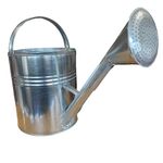 Casa si Gradina - Gradinarit si plante - Instalatii si accesorii pentru irigatii - Aparate pentru stropit gradina - Stropitoare zincata, 10 litri - Infinity.ro