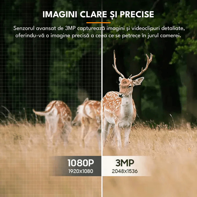 Casa si Gradina - Electrice - Smart Home - Camere de supraveghere - Camera de supraveghere, Q51, 3MP, 4G, rotire, audio bidirectional, vedere nocturna,rezistent la apa, detectarea miscarii - Infinity.ro