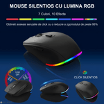 PC, gaming si accesorii - Periferice PC - Tastaturi - Set Tastatura-Mouse Wireless 2.4 GHz, SELERIS®, Win/MacOS, RGB, Suport Telefon/Tableta, USB C/1000mAh/500mAh, 114 taste - Infinity.ro