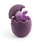 Jucarii, Copii si Bebe - Jucarii si jocuri - Jucarii & jocuri educative - Jocuri si jucarii educative - Kit STEM de crestere a dinozaurilor de cristal - Spinosaurus, TopBright Toys - Infinity.ro