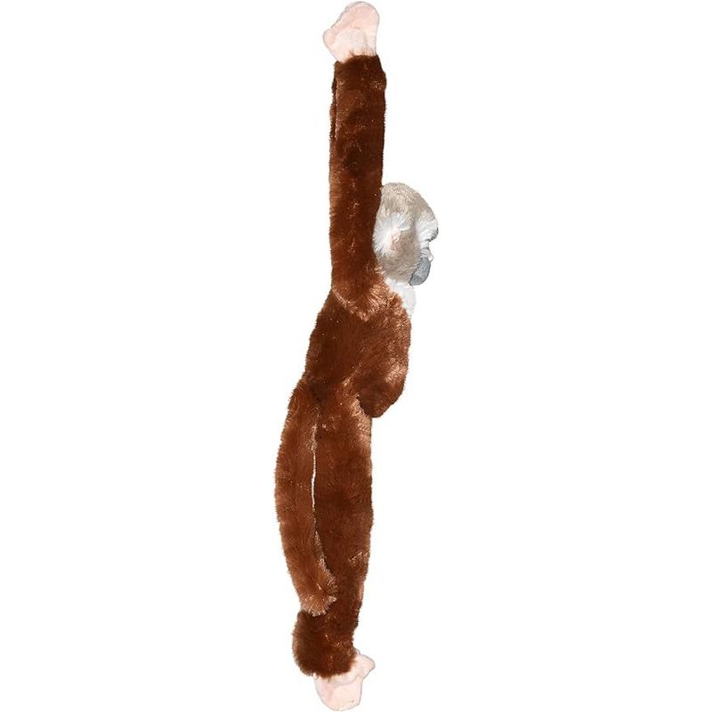 Jucarii, Copii si Bebe - Jucarii si jocuri - Jucarii de plus - Maimuta care se agata Maimuta Veverita - Infinity.ro