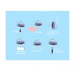 Jucarii, Copii si Bebe - Jucarii si jocuri - Jucarii & jocuri educative - Jocuri si jucarii educative - Navir Giroscop UFO Navir - Jucarie Educativa de inalta calitate pentru copii - Infinity.ro
