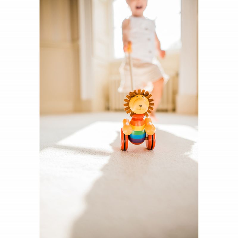 Jucarii, Copii si Bebe - Jucarii si jocuri - Jucarii bebelusi - Jucarii de tras/impins - Jucarie de impins leu, Orange Tree Toys - Infinity.ro
