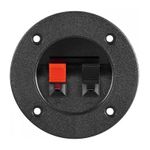 TV, Audio-Video si Foto - Audio Hi-Fi - Accesorii Audio Hi-Fi - Terminal difuzor 2 poli push rotund 75mm pe panou Goobay - Infinity.ro