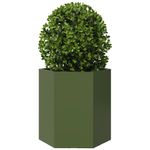 Casa si Gradina - Gradinarit si plante - Plante si ghivece - Ghivece si suporturi - Jardiniera gradina 2 buc. verde 46x40x45 cm otel hexagonala - Infinity.ro