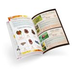 Jucarii, Copii si Bebe - Jucarii si jocuri - Jucarii & jocuri educative - Jocuri si jucarii educative - Set Terariu cu lupa pentru insecte sau plante - Infinity.ro