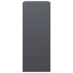 Casa si Gradina - Termice - Sobe, Seminee si accesorii - Accesorii seminee si sobe - Rastel pentru lemne de foc, antracit, 60x40x100 cm, otel - Infinity.ro