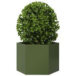 Casa si Gradina - Gradinarit si plante - Plante si ghivece - Ghivece si suporturi - Jardiniera gradina verde masliniu 69x60x45 cm otel hexagonal - Infinity.ro