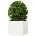 Casa si Gradina - Gradinarit si plante - Plante si ghivece - Ghivece si suporturi - Jardiniera de gradina alb 69x60x45 cm otel hexagonal - Infinity.ro